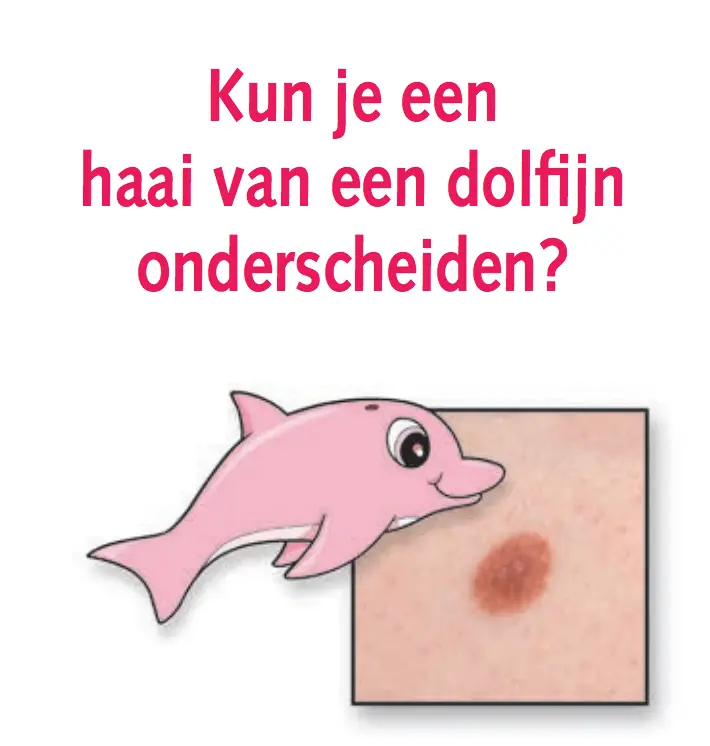 haai van een dolfijn onderscheiden